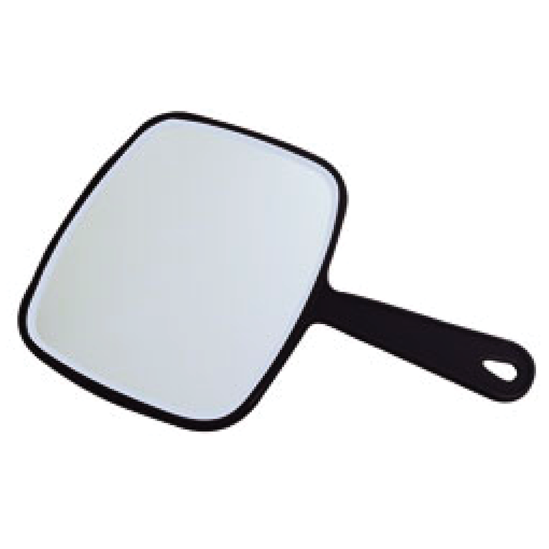 Picture Mirror
